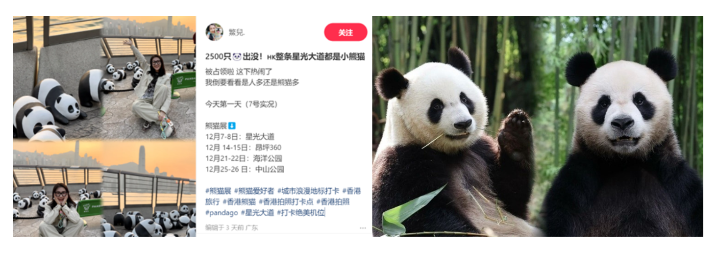 2024 Hong Kong’s Top Five Tourism Buzzes Review - Can the Mega Event Economy Continue to Ride the Waves? 751d31dd6b56b26b29da